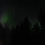 Pyhaekirnu