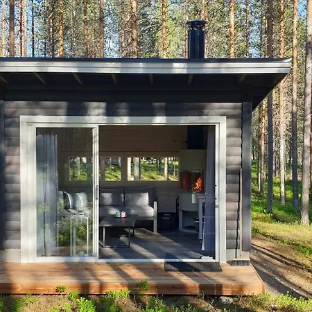Holiday home Pyhaekirnu *