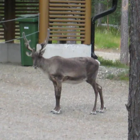 Ferienhaus Pyhaekirnu